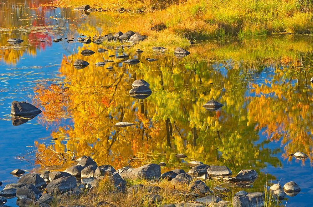 Canada-Ontario-Whitefish Autumn colors reflect in Vermilion River art print by Jaynes Gallery for $57.95 CAD