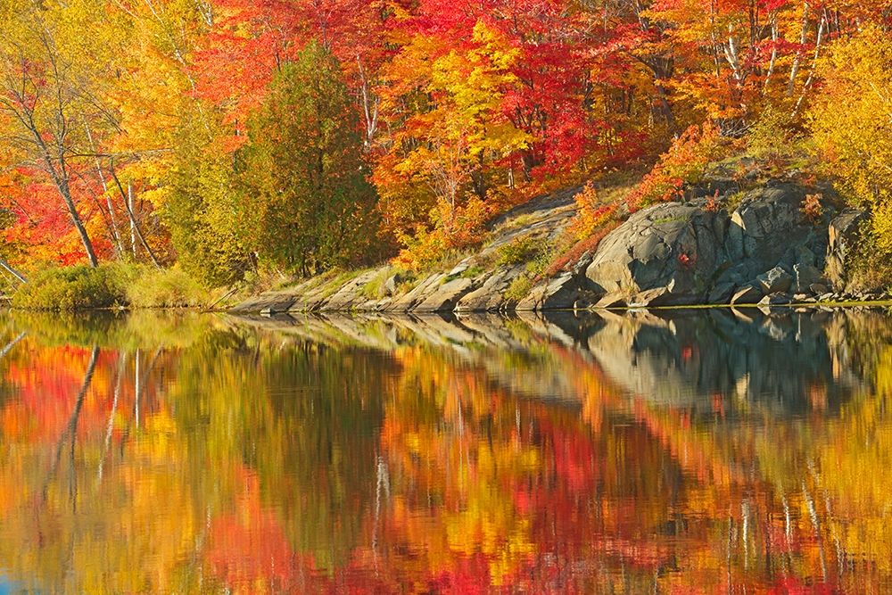 Canada-Ontario-Simon Lake Park Conservation Area Forest and rock reflected in Simon Lake art print by Jaynes Gallery for $57.95 CAD