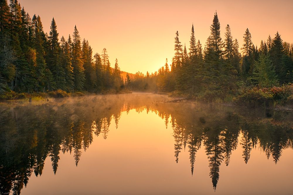 Canada-Ontario-Lake Superior Provincial Park Sunrise forest reflection in waterway art print by Jaynes Gallery for $57.95 CAD