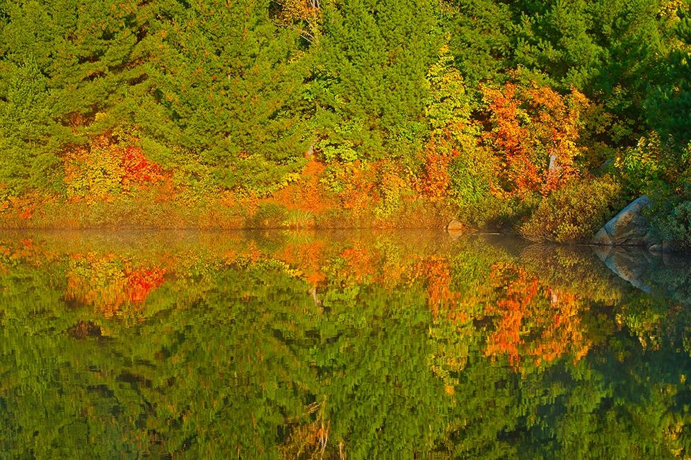 Canada-Ontario-Sudbury Autumn colors reflect in Lake Laurentian at sunrise art print by Jaynes Gallery for $57.95 CAD
