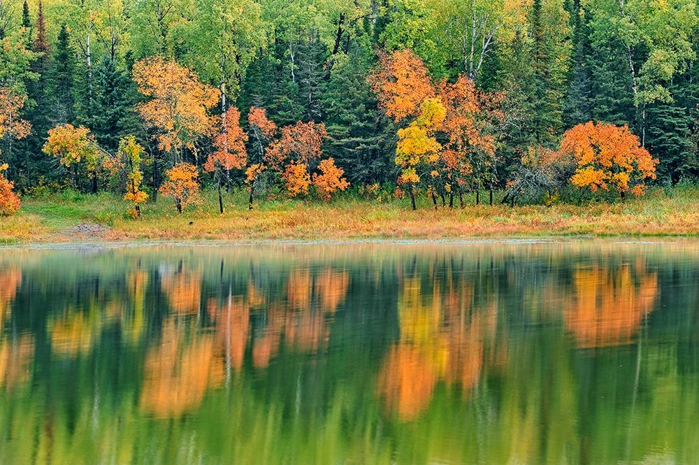 Canada-Ontario-Kenora District Forest autumn colors reflect on Middle Lake art print by Jaynes Gallery for $57.95 CAD