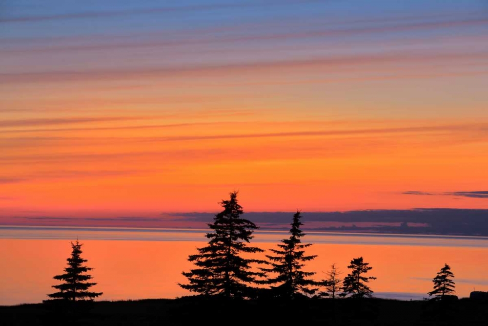 Canada, West Cape Trees on Prince Edward Island art print by Mike Grandmaison for $57.95 CAD