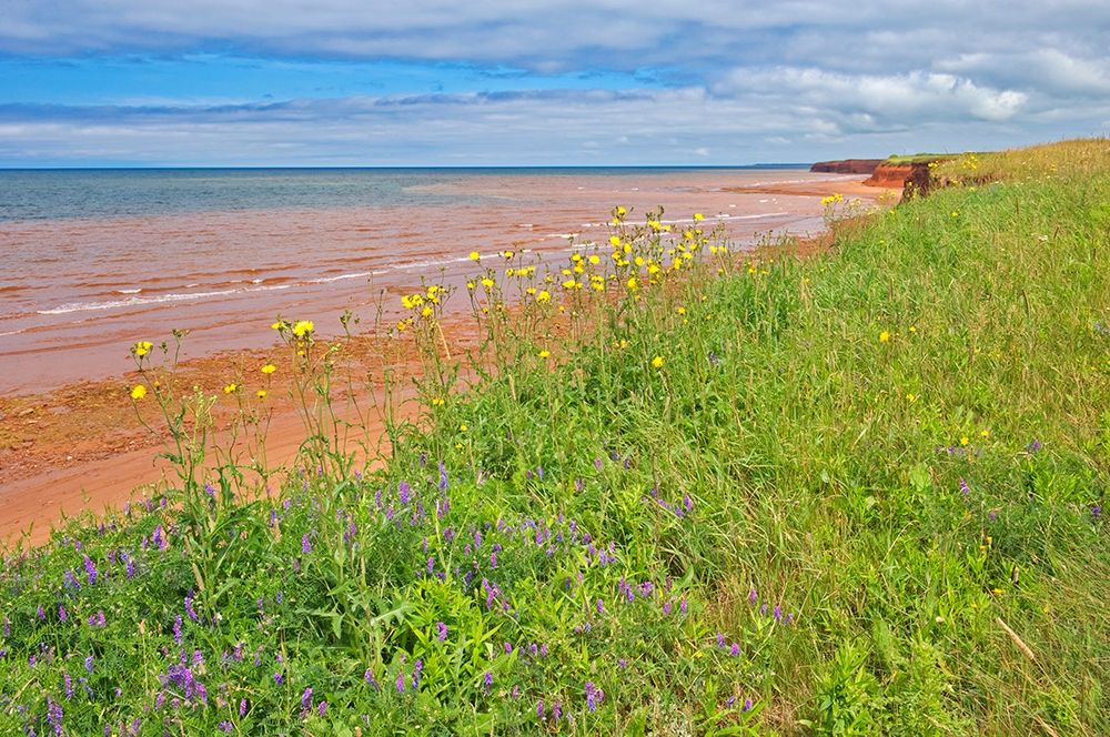 Canada-Prince Edward Island-Skinners Pond Red sandstone beach on Northumberland Strait art print by Jaynes Gallery for $57.95 CAD