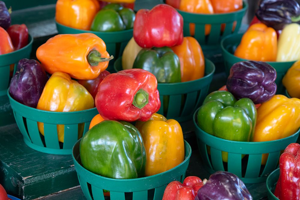 Jean-Talon Market, large public market in Little Italy section of Montreal. colored peppers art print by Alan Klehr for $57.95 CAD