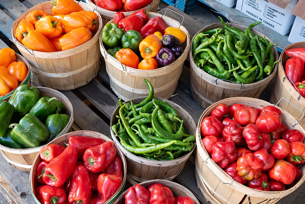 Jean-Talon Market, large public market in Little Italy section of Montreal, peppers and tomatoes art print by Alan Klehr for $57.95 CAD