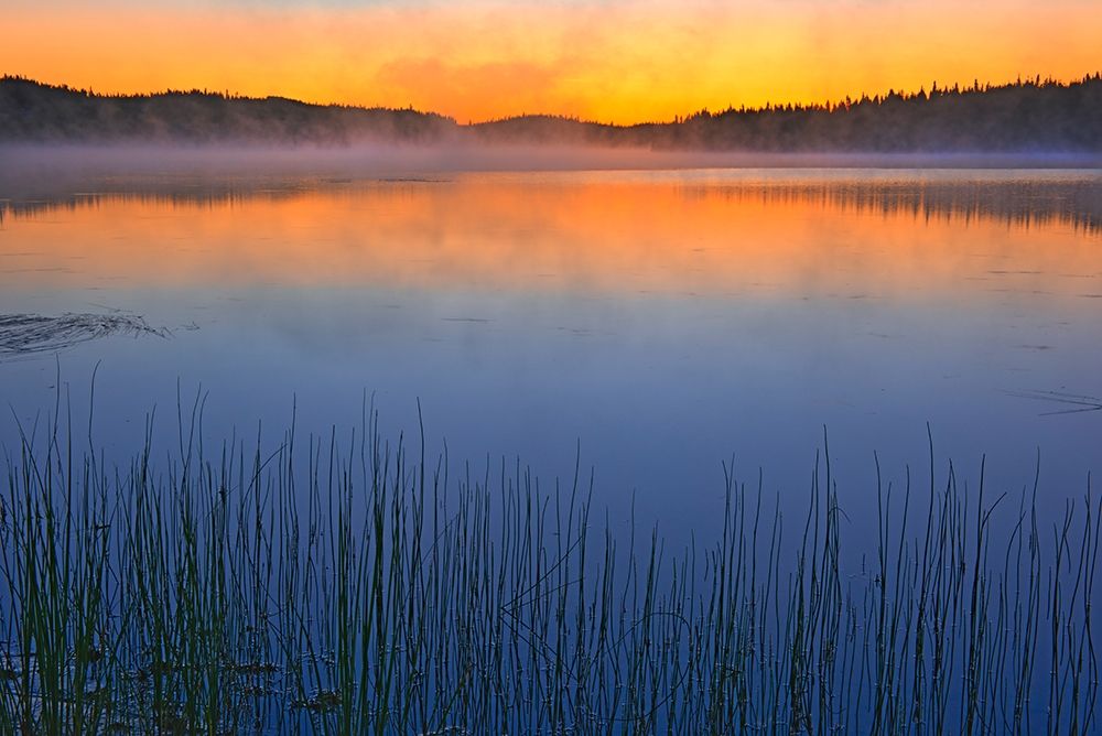 Canada-Quebec-Chibougamau Fog over Lac Sauvage at dawn art print by Jaynes Gallery for $57.95 CAD