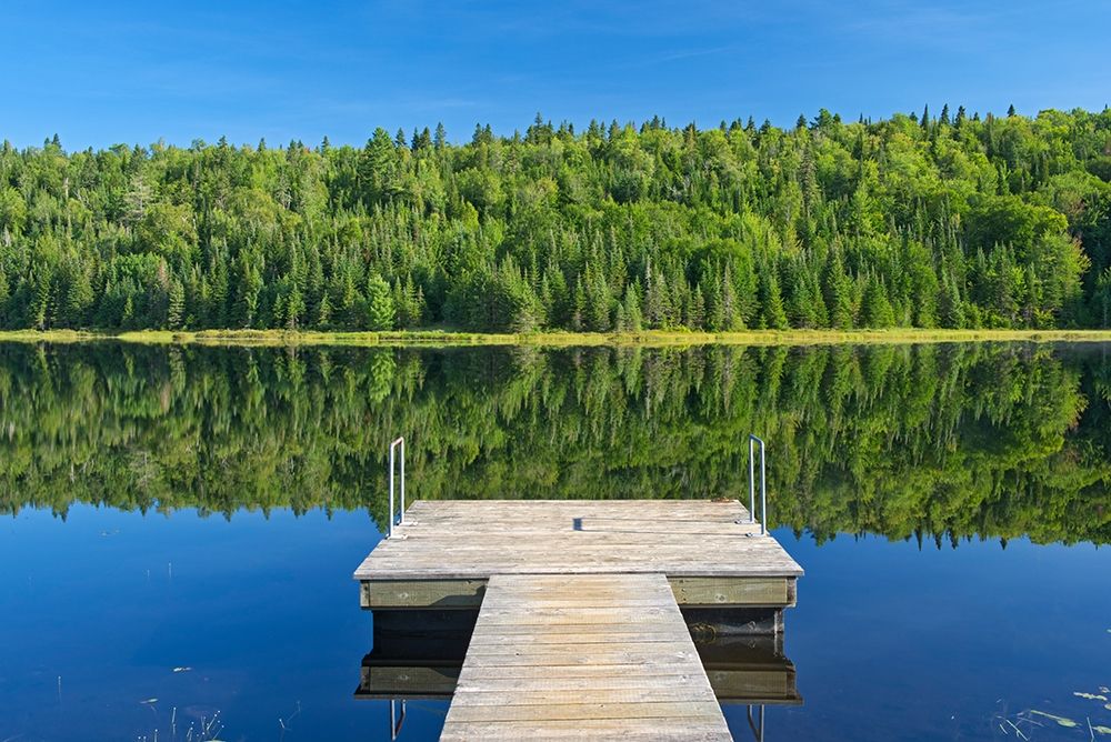 Canada-Quebec-La Mauricie National Park Tree reflection and dock in Lac Modene art print by Jaynes Gallery for $57.95 CAD