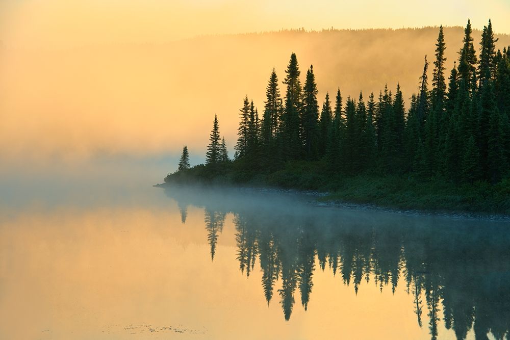 Canada-Quebec-Chibougamau Lake in fog at sunrise art print by Jaynes Gallery for $57.95 CAD
