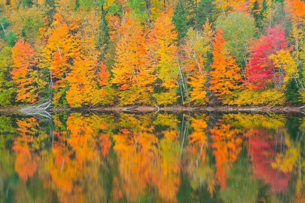 Canada-Quebec-Saint-Mathieu-du-Parc Autumn colors reflected in Lac Trudel art print by Jaynes Gallery for $57.95 CAD