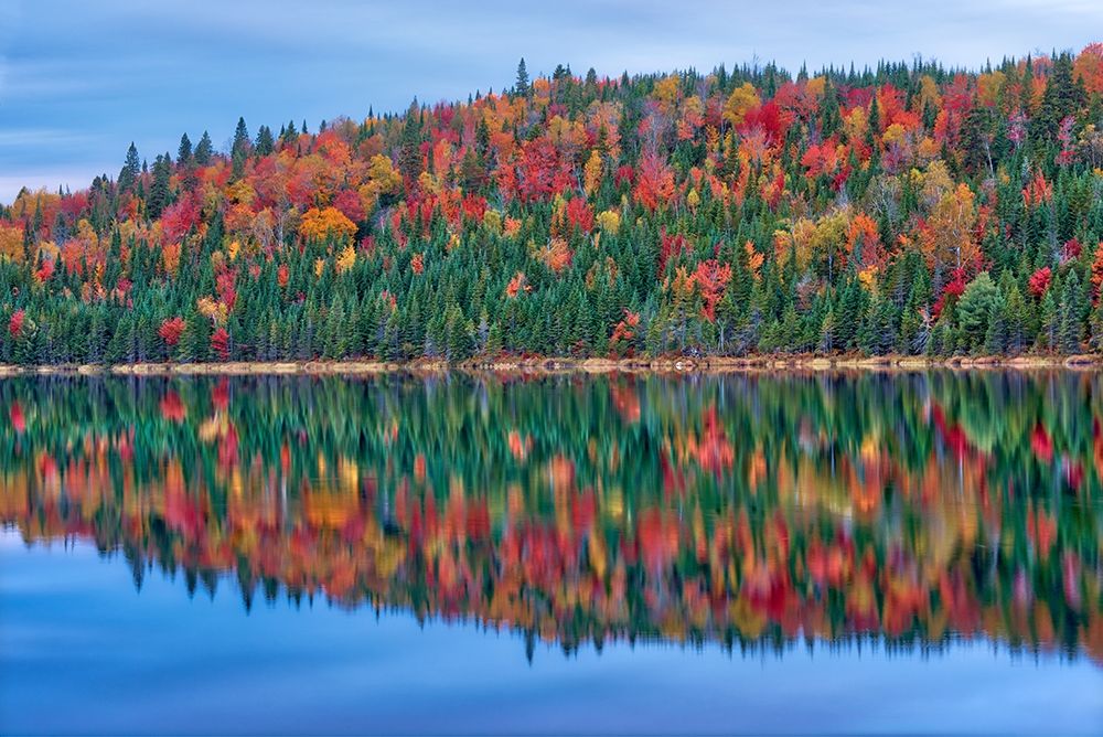 Canada-Quebec-La Mauricie National Park Autumn colors reflected in Lac Modene art print by Jaynes Gallery for $57.95 CAD