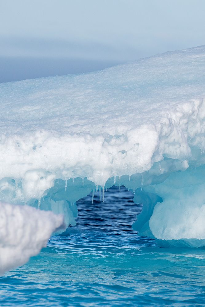 Canada, Beaufort Sea. Blue iceberg. art print by Cindy Miller Hopkins for $57.95 CAD