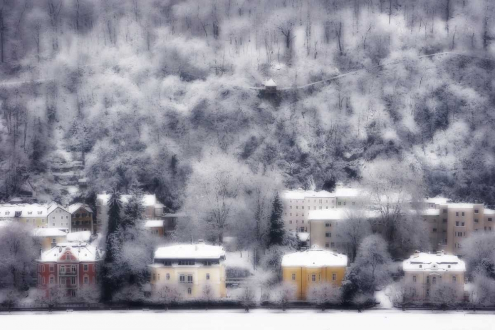 Austria, Salzburg Residences and snowy trees art print by Bill Young for $57.95 CAD
