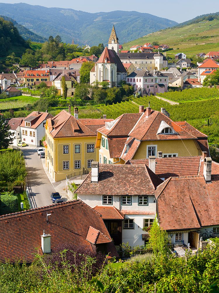 Historic village Spitz located in wine-growing area-UNESCO World Heritage Site-Lower Austria art print by Martin Zwick for $57.95 CAD