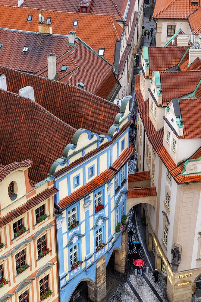 View from the Top of Old Town Hall in Prague-Czech Republic art print by Chuck Haney for $57.95 CAD