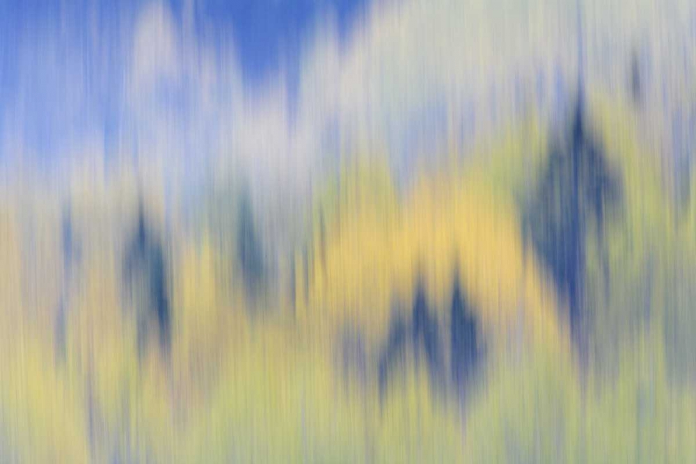 Finland, Nuuksio NP Abstract of fall color trees art print by Arthur Morris for $57.95 CAD