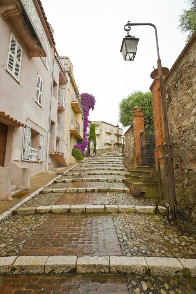 France, Provence, Cannes Rain-covered steps art print by Fred Lord for $57.95 CAD