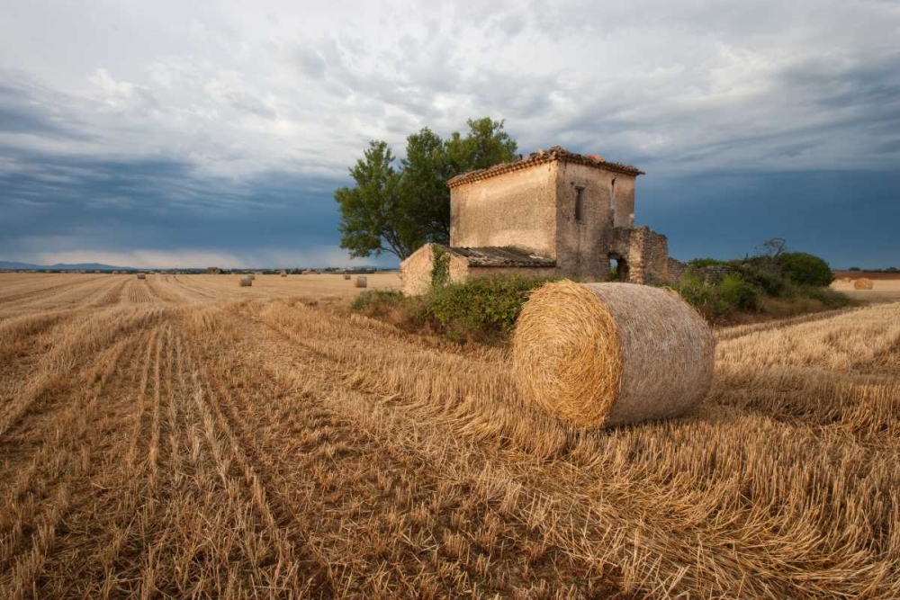Europe, France Hay bale in Provence field art print by Ellen Anon for $57.95 CAD