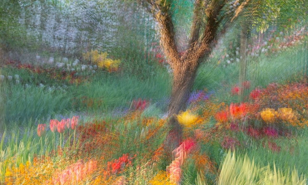 France-Giverny Impression of flowers in Monets Garden  art print by Jaynes Gallery for $57.95 CAD