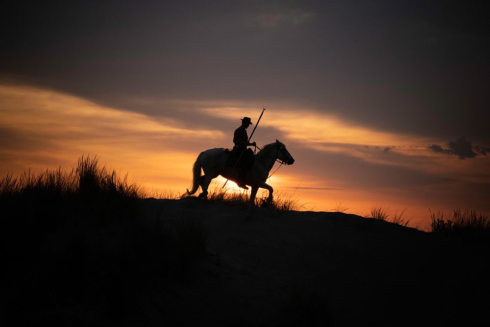Europe-France-Provence-Camargue horse with rider at sunrise art print by Jaynes Gallery for $57.95 CAD