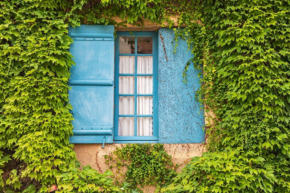 France-Dordogne-Hautefort A blue shuttered window in an ivy covered wall in the town of Hautefort art print by Emily Wilson for $57.95 CAD