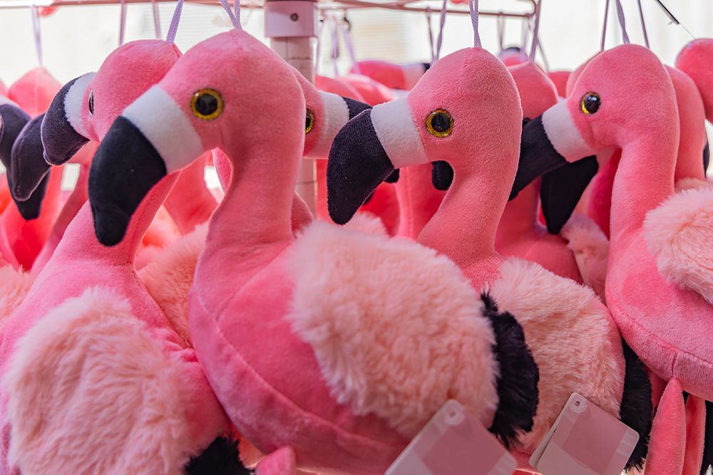  Provence-Alpes-Cote dAzur-France Pink flamingo plushies for sale in the Camargue art print by Emily M. Wilson for $57.95 CAD