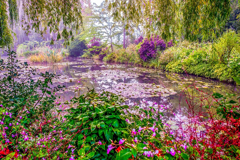 Giverny, France. Landscape view of Claude Monets Japanese water gardens in the village of Giverny. art print by Murray McCallum for $57.95 CAD