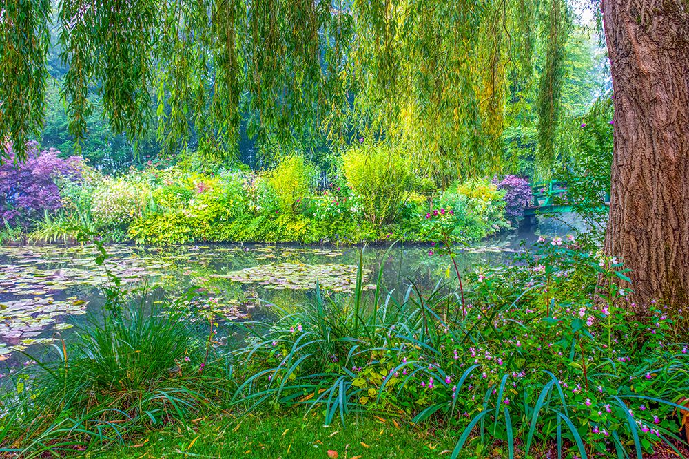 Giverny, France. Landscape view of Claude Monets Japanese water gardens in the village of Giverny. art print by Murray McCallum for $57.95 CAD