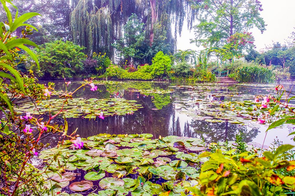 Giverny, France. Claude Monets water gardens in the village of Giverny. art print by Murray McCallum for $57.95 CAD