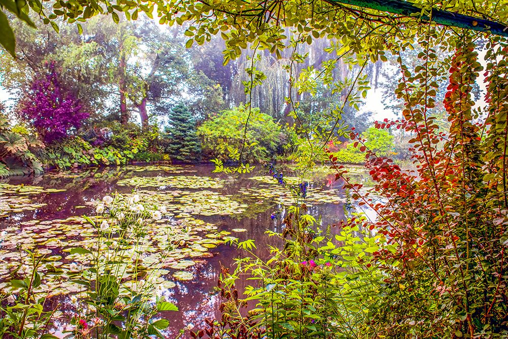 Giverny, France. Landscape view of Claude Monets famous Japanese water garden. art print by Murray McCallum for $57.95 CAD