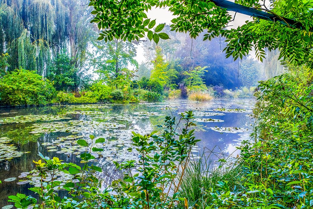 Giverny, France. Claude Monets Japanese water gardens in the village of Giverny. art print by Murray McCallum for $57.95 CAD