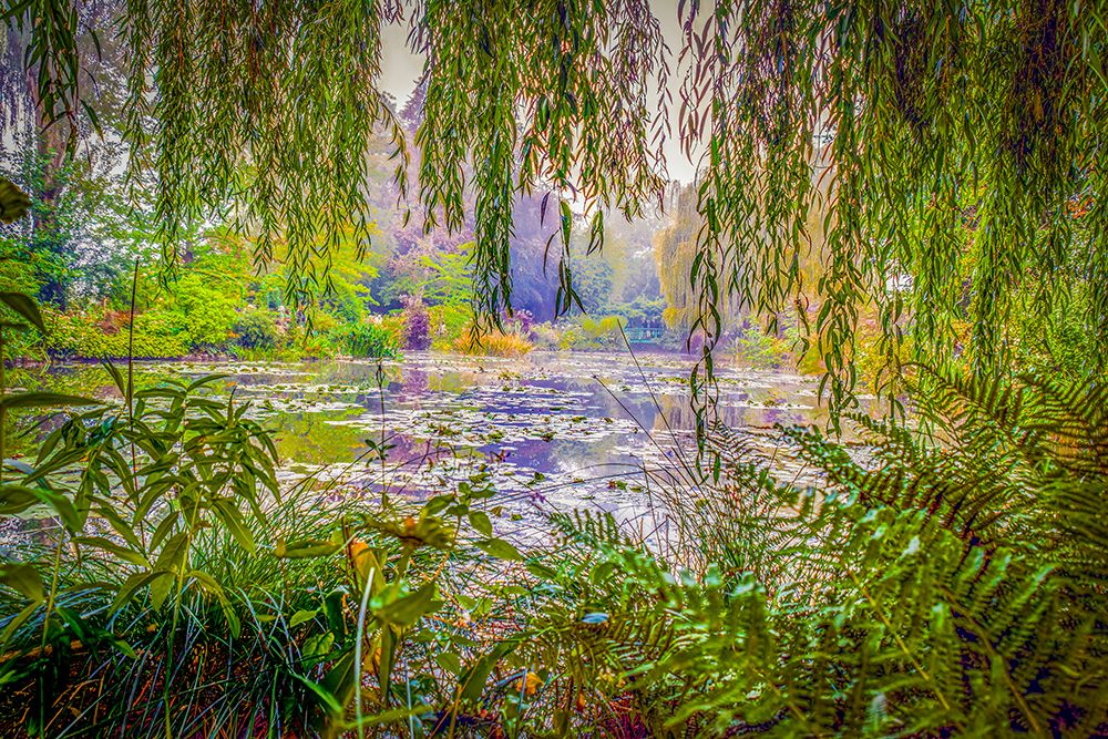 Giverny, France. Landscape view of Claude Monets famous Japanese water garden art print by Murray McCallum for $57.95 CAD