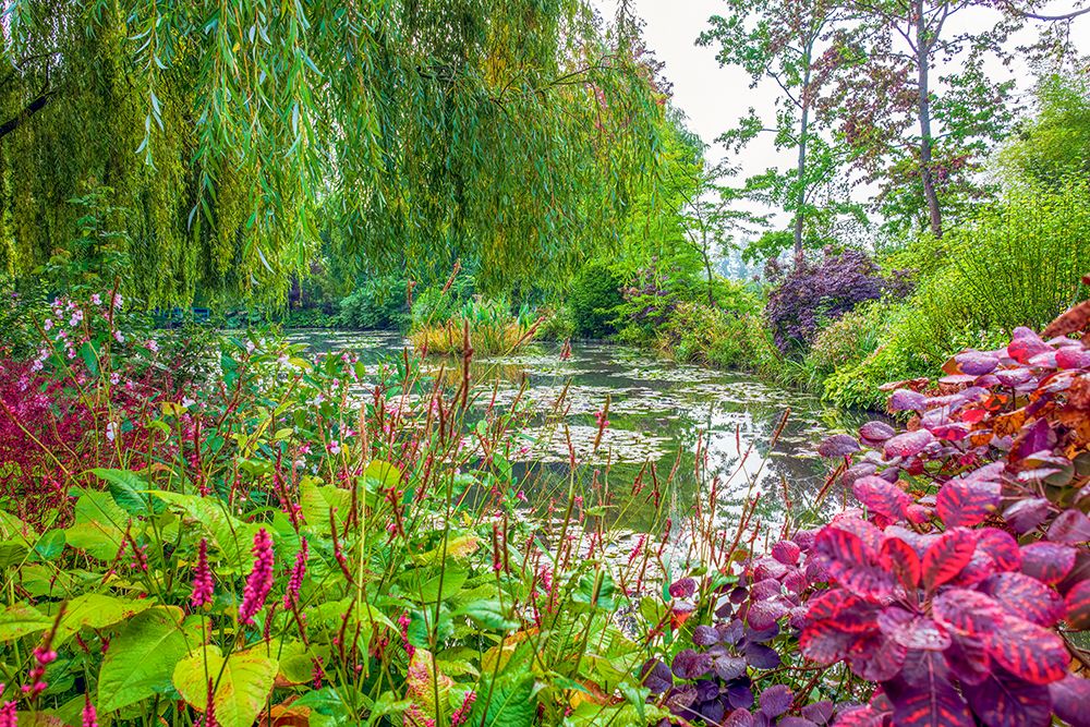 Giverny, France. Landscape view of Claude Monets Japanese water gardens in the village of Giverny. art print by Murray McCallum for $57.95 CAD