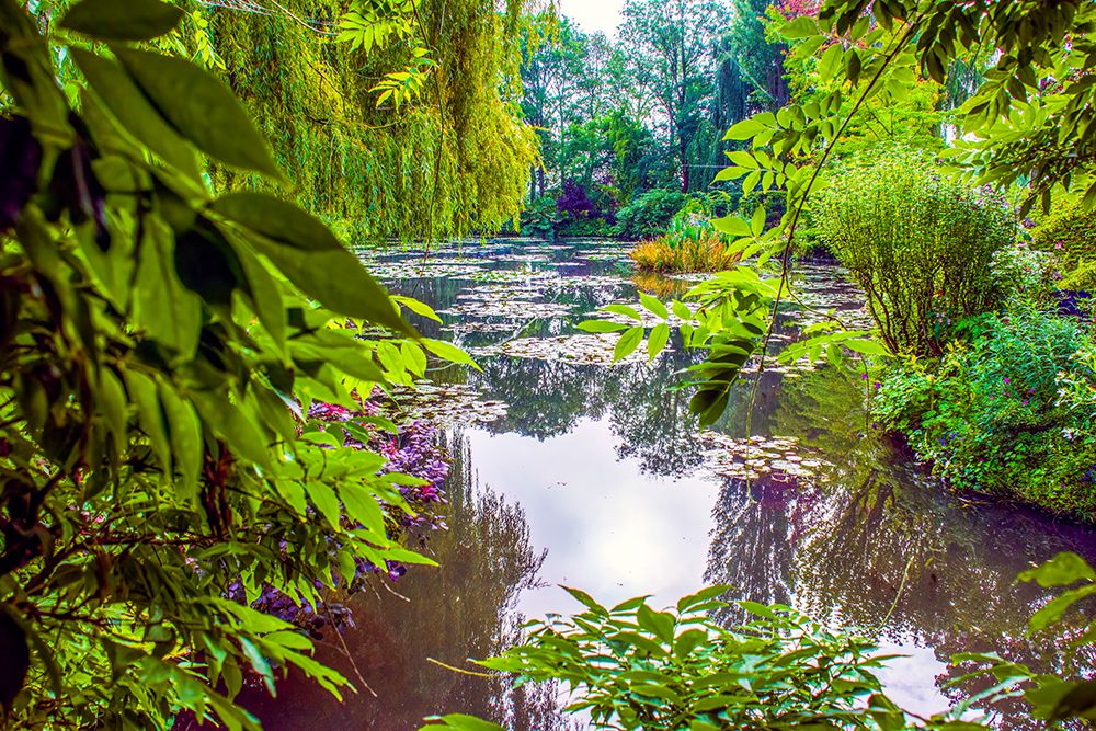 Giverny, France. Claude Monets Japanese water gardens in the village of Giverny. art print by Murray McCallum for $57.95 CAD