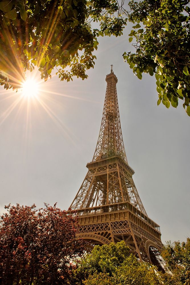 Eiffel Tower framed by trees and sunburst in Paris-France art print by Steve Mohlenkamp for $57.95 CAD