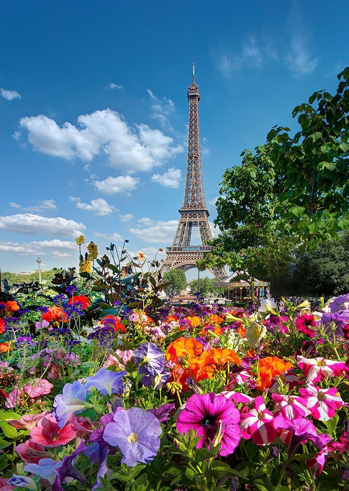 Flowers and Eiffel Tower in Paris-France art print by Steve Mohlenkamp for $57.95 CAD