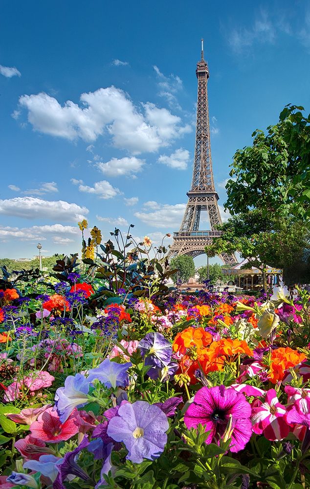 Fall and Eiffel Tower in Paris-France art print by Steve Mohlenkamp for $57.95 CAD