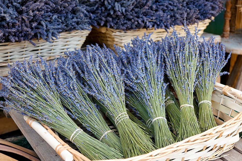 Munich-Germany Farmers market Basket of dried lavender art print by Julien McRoberts for $57.95 CAD