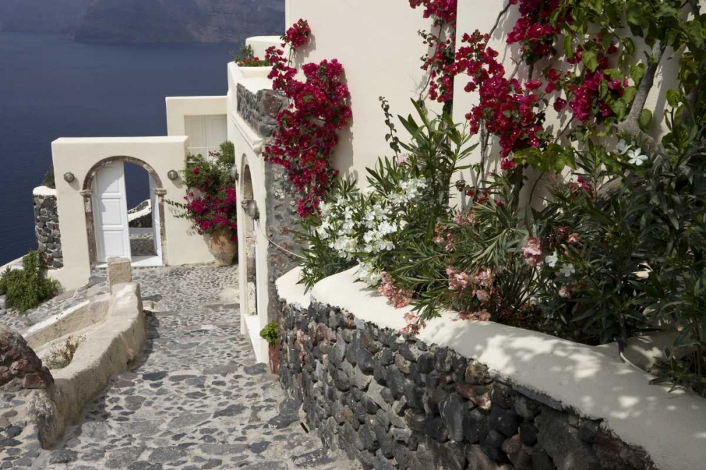 Greece, Santorini, Thira, Oia Pebbled staircase art print by Bill Young for $57.95 CAD