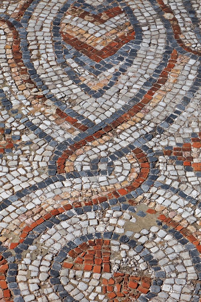 Turkey-Ephesus Roman mosaic floor in ancient city  art print by Jaynes Gallery for $57.95 CAD