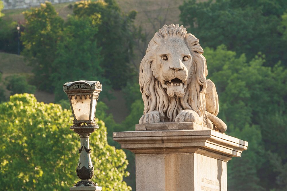 Hungary-Budapest-Lion sculpture on the Szechenyi Chain Bridge art print by Tom Haseltine for $57.95 CAD