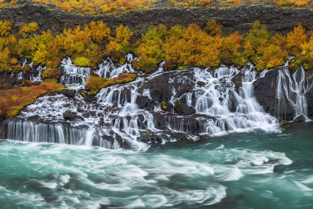 Iceland, Hraunfossar Autumn waterfalls art print by Dennis Kirkland for $57.95 CAD