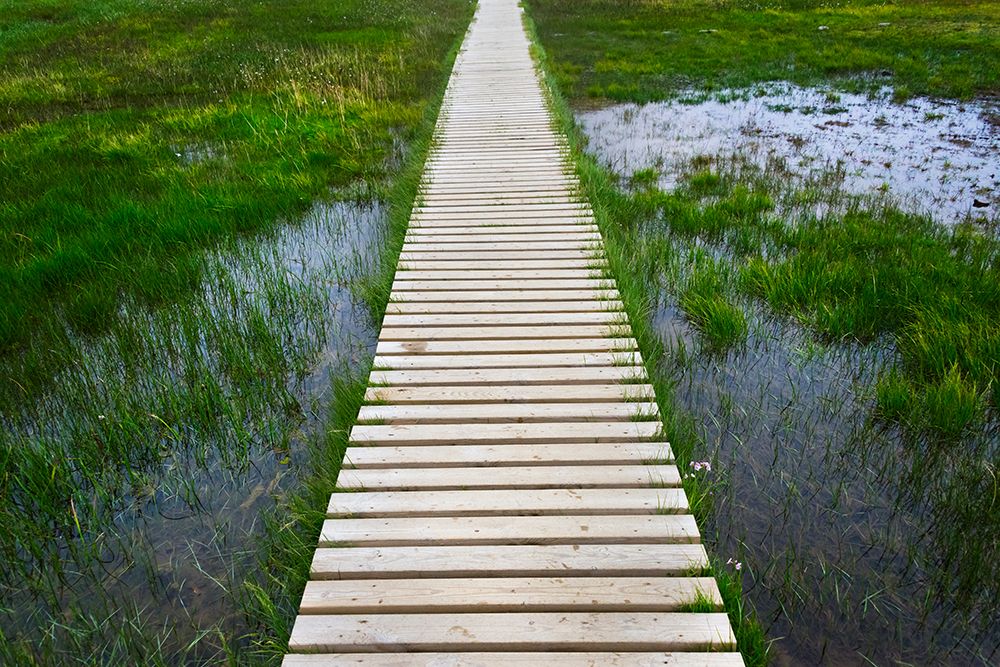 A plank pathway in Landmannalaugar-Iceland art print by Keren Su for $57.95 CAD