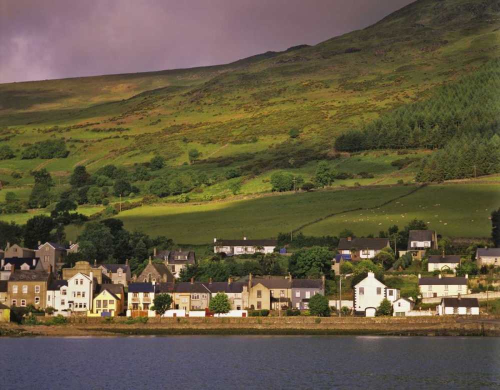 Ireland, Co Louth The town of Carlingford art print by Dennis Flaherty for $57.95 CAD