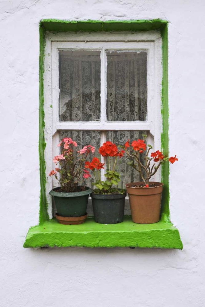 Ireland, Cashel Potted flowers on a window sill art print by Dennis Flaherty for $57.95 CAD