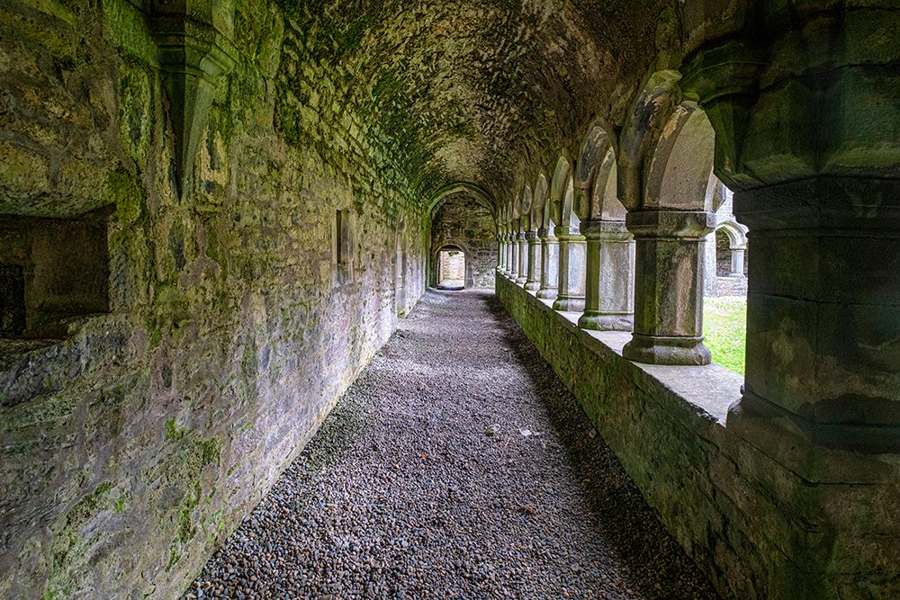 Meditative passageway is part of Moyne Abbey-one of the largest and most intact abbeys in Ireland. art print by Betty Sederquist for $57.95 CAD
