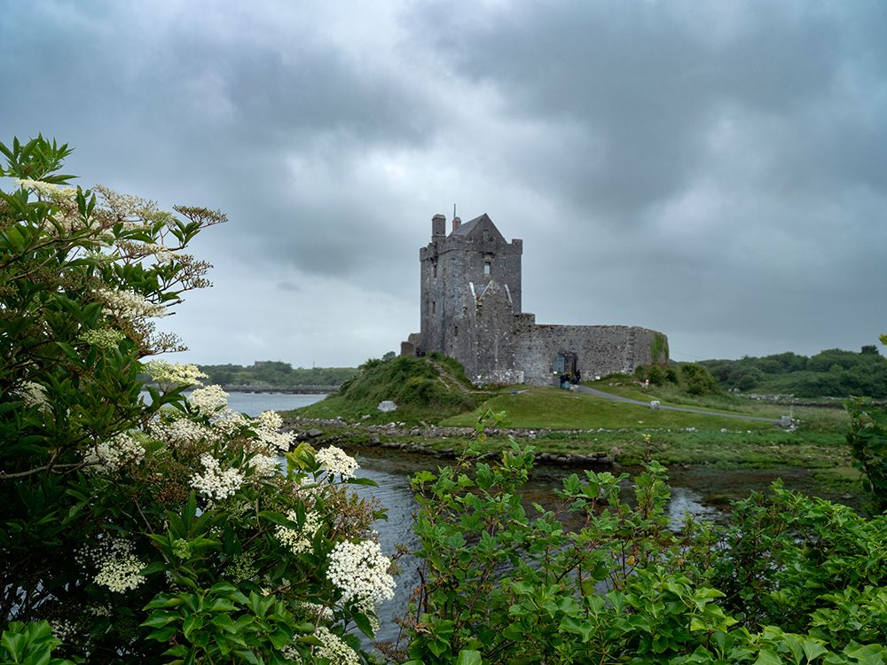 Dunguaire Castle-a famous landmark-is located on Galway Bay-Ireland. art print by Betty Sederquist for $57.95 CAD