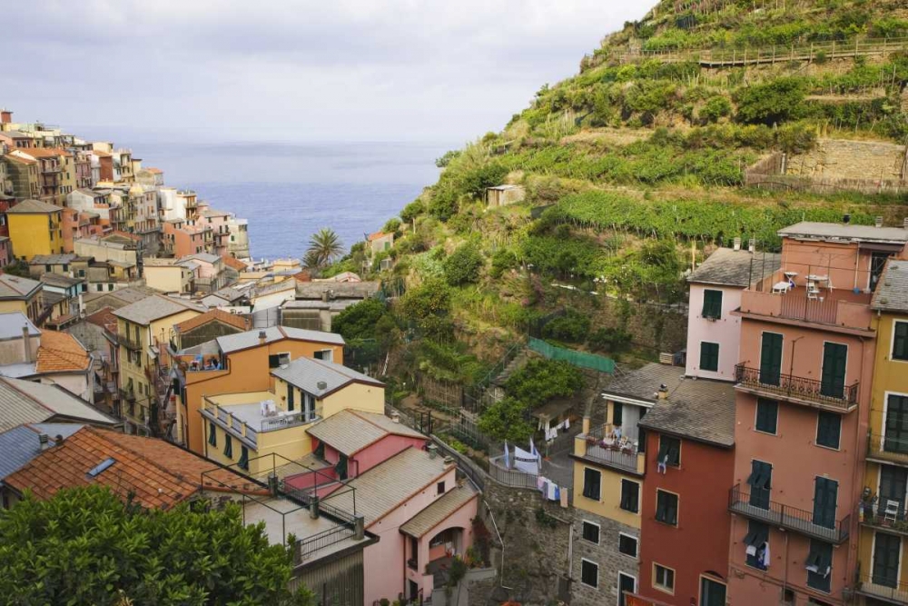 Hillside village of Manarola-Cinque Terre, Italy art print by Dennis Flaherty for $57.95 CAD