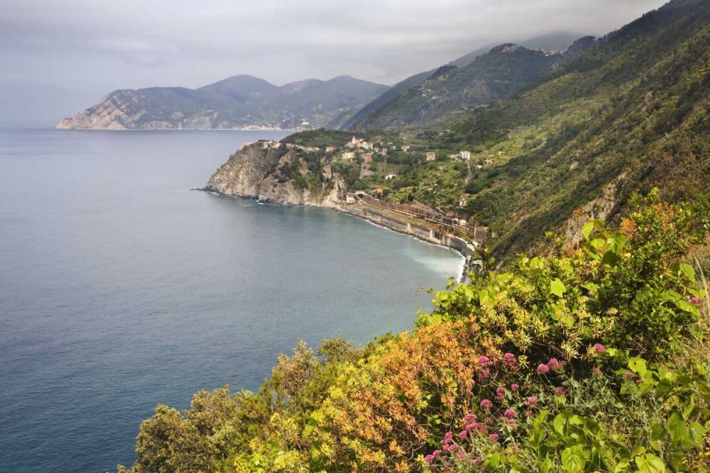 Italy, Cinque Terre Coastal shoreline lookout art print by Dennis Flaherty for $57.95 CAD