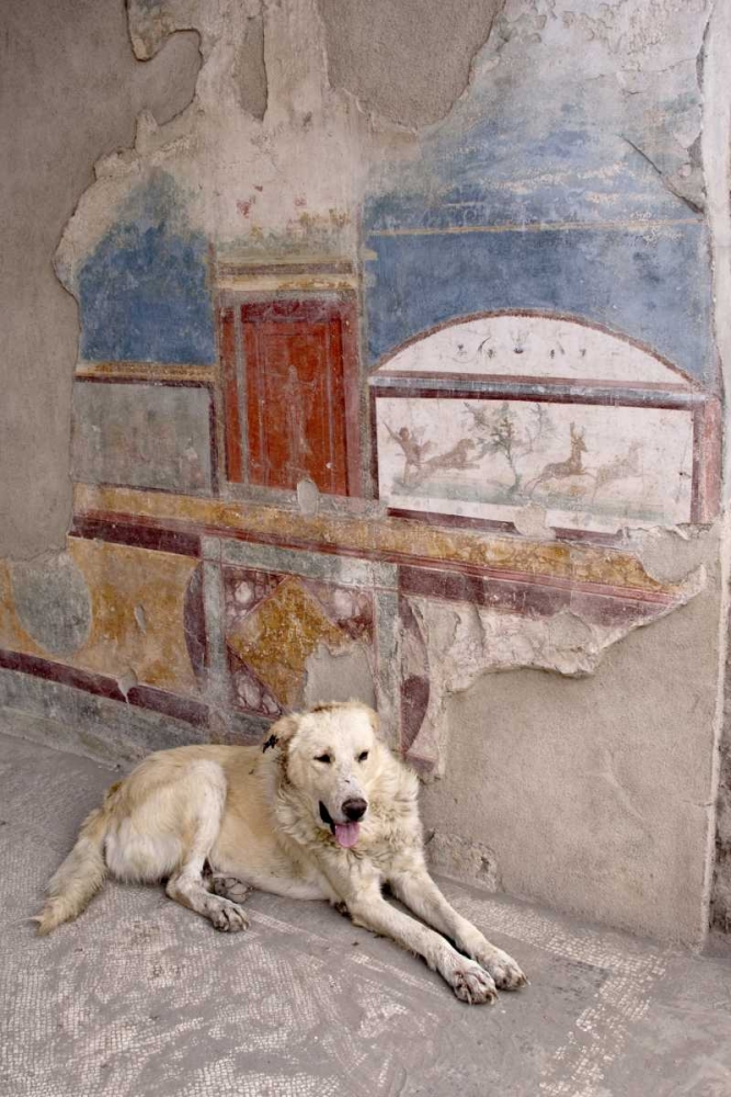 Italy, Campania, Pompeii A stray dog and fresco art print by Wendy Kaveney for $57.95 CAD