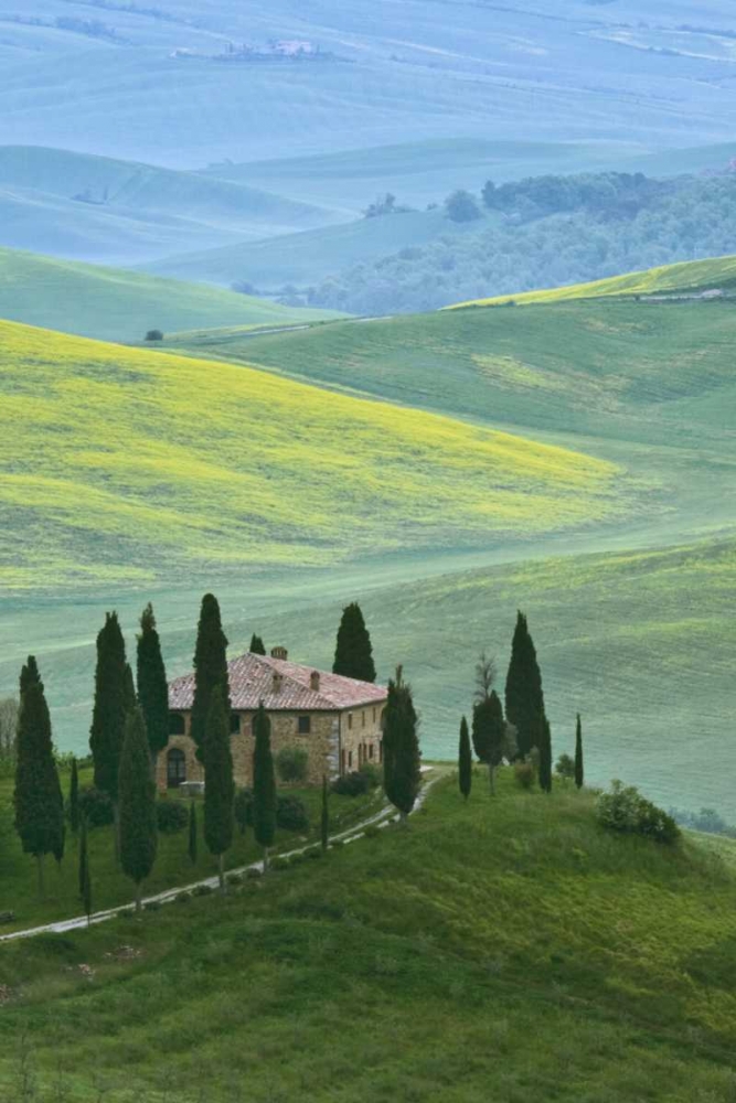 Italy, Tuscany Beautiful green countryside art print by Dennis Flaherty for $57.95 CAD